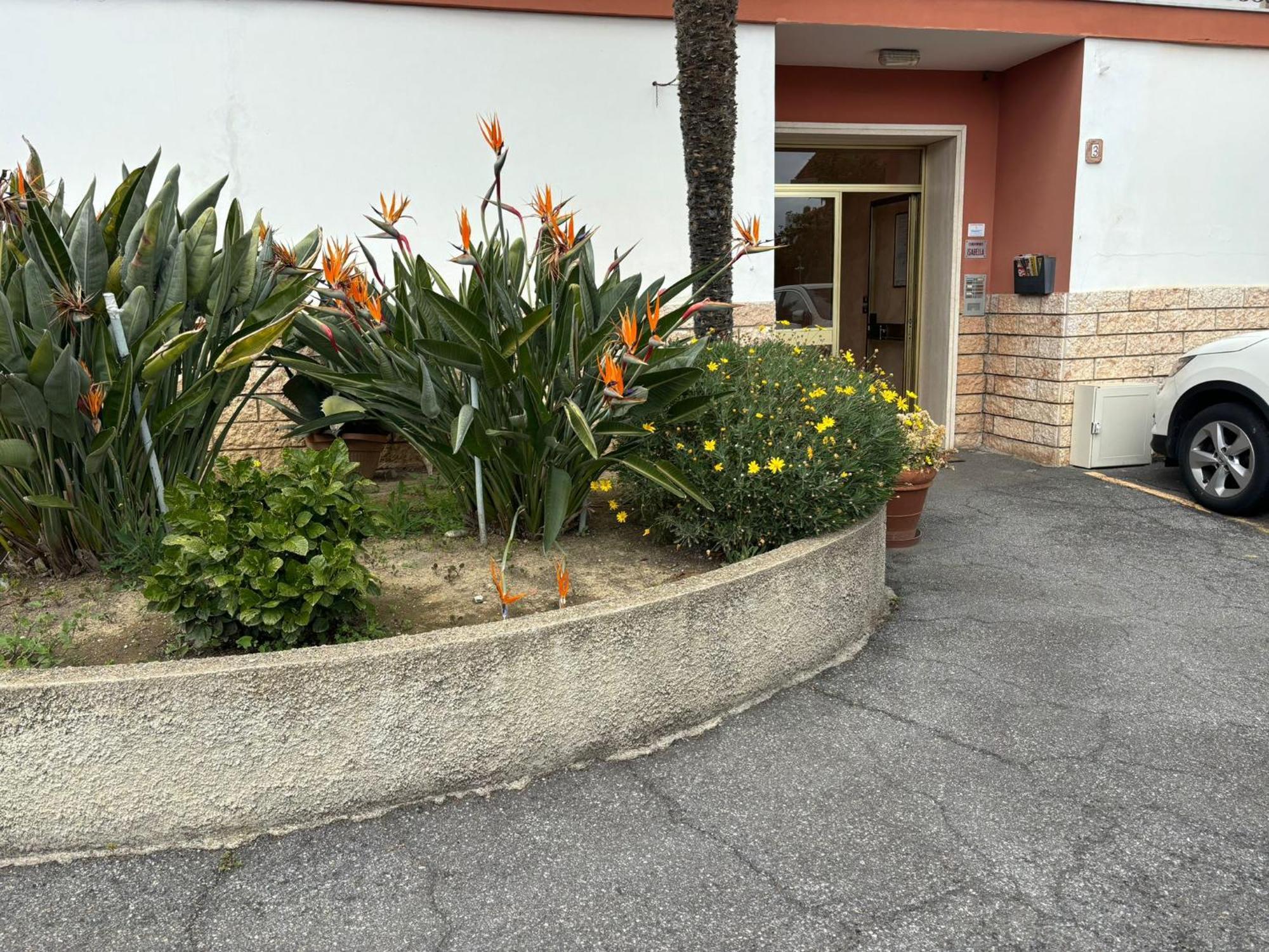 Appartamento Angela Riva Ligure Ngoại thất bức ảnh